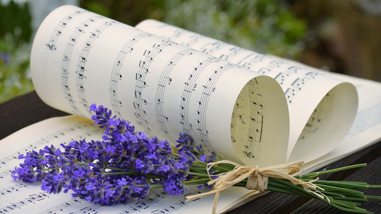 Landluftkonzert 2026 in Rheder: Vorverkauf gestartet für Open-Air-Abend mit Filmmusik und Klassik